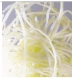 MAGIMIX COMPACT 3100 / 12435 - Citrons - 2
