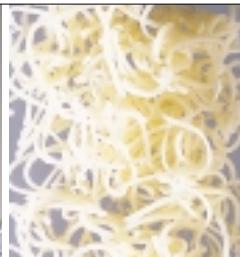 MAGIMIX COMPACT 3100 / 12435 - Carottes - 2