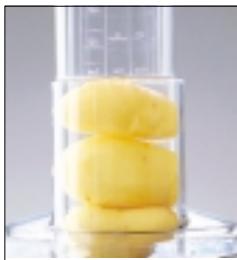 MAGIMIX COMPACT 3100 / 12435 - Gruyère - 1
