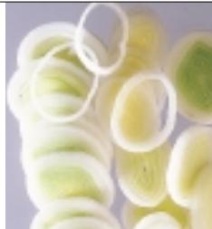 MAGIMIX COMPACT 3100 / 12435 - Tomates - 2