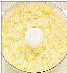 MAGIMIX COMPACT 3100 / 12435 - Utilisation GRANDE CUVE - 6