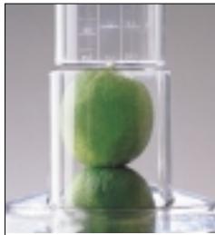 MAGIMIX COMPACT 3100 / 12435 - Pommes - 1