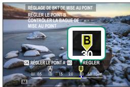 DARTY HYBRIDEX-PRO 3 DURATECH - Mise au point et images/étape - 3