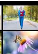 DARTY HYBRIDEX-PRO 3 DURATECH - Visualisation des photos - 5