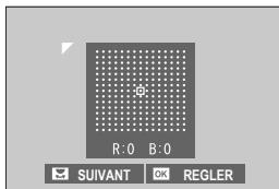 DARTY HYBRIDEX-PRO 3 DURATECH - Correction de la perte de couleurs - 1