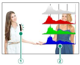 DARTY HYBRIDEX-PRO 3 DURATECH - - Histogrammes - 3
