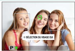 DARTY HYBRIDEX-PRO 3 DURATECH - Selection VISAGE - 1