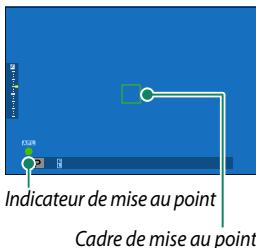 DARTY HYBRIDEX-PRO 3 DURATECH - Prise de vue (mode p) - 6