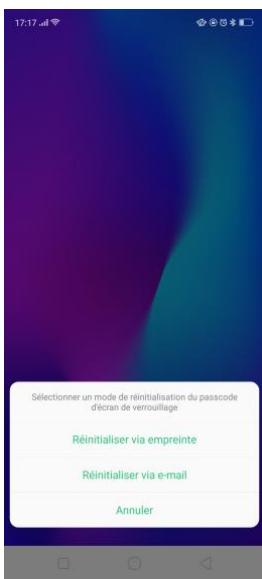 OPPO RX17NEO - Réinitialiser le mot de passe avec empreinte digitale - 2