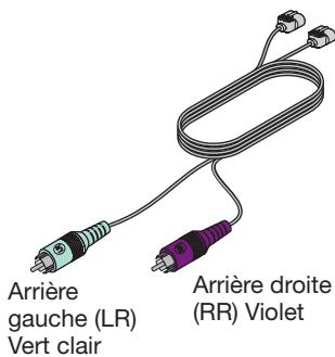BOSER LIFESTYLE 535 III WC - Cables des enceintes arrière - 1