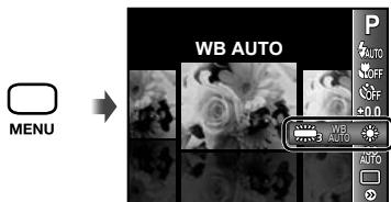 OLYMPUS TOUGH 6020 - Régler sur un agencement de couleurs naturelles (balance des blancs) - 1