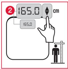 TERAILLON FBC ALTEO BLANC - MESURE et classification de l'IMC - 2
