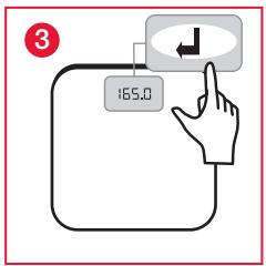 TERAILLON FBC ALTEO BLANC - MESURE et classification de l'IMC - 3