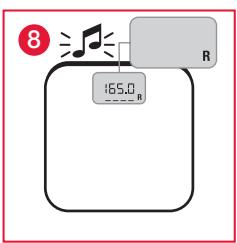 TERAILLON FBC ALTEO BLANC - MESURE et classification de l'IMC - 8