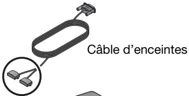 BOSER CINEMATE GS + BLU-RAY - Connexion des enceintes au module acoustimass® - 1