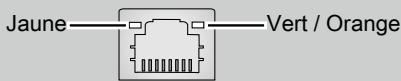 MSI P100X10SE-294FR - Prise LAN - 1