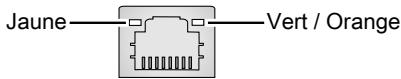 MSI P100X10SE-294FR - Prise LAN - 1