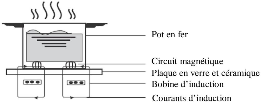PROLINE IH355P-EcobI - Description - 1