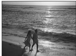 FUJIFILM FinePix Z2 - Flash force - 1