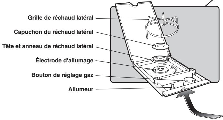 WEBER 6570553 - ENTRETIEN DU RECHAUD LATERAL - 1