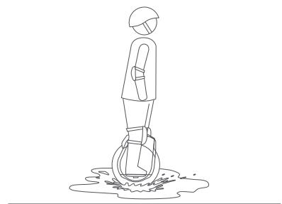SEGWAY Ninebot One S2 - Avertissements - 9