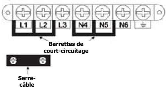STOVES PRiCH110EisAL15 - Branchement de l'alimentation électrique - boitier à BORNES - 1