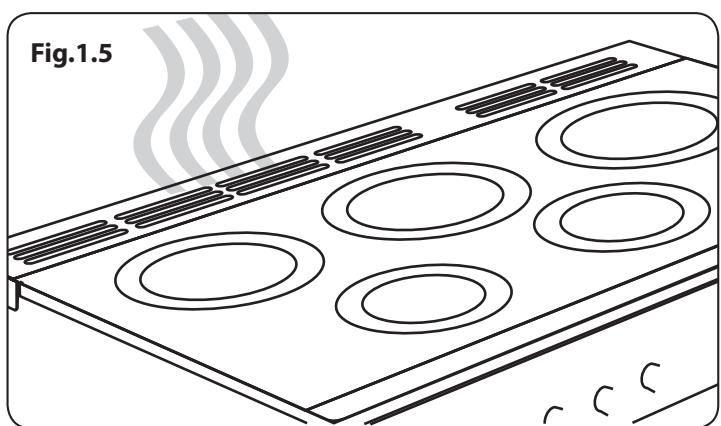 FALCON NEX90DFSL/C-EU - Induction et céramique - 5