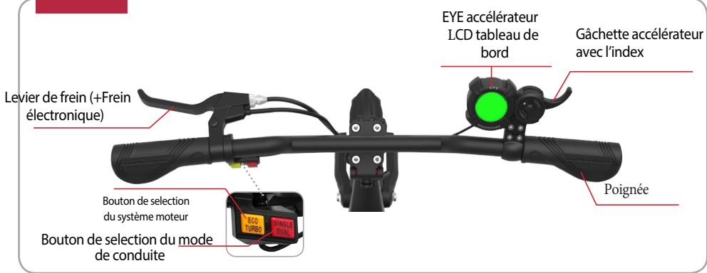 MINIMOTOR DUALTRON RAPTOR 2 K - Nom de chaque partie - 1