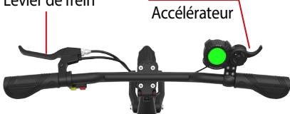 MINIMOTOR DUALTRON RAPTOR 2 K - Etape 2. Allumez le diplay - 2