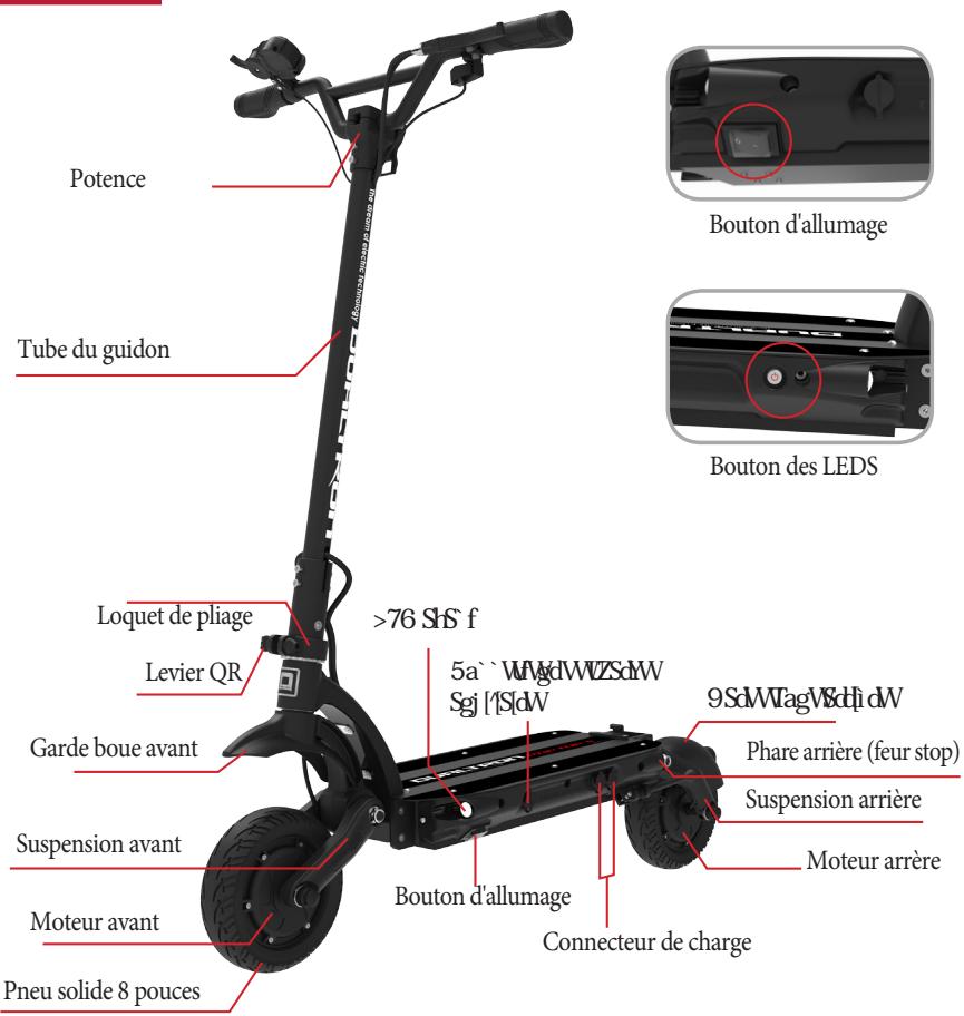 MINIMOTOR DUALTRON RAPTOR 2 K - Nom de chaque partie - 2