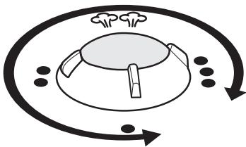EUROFLEX IS 55 HSMX - Repasser à sec - 1