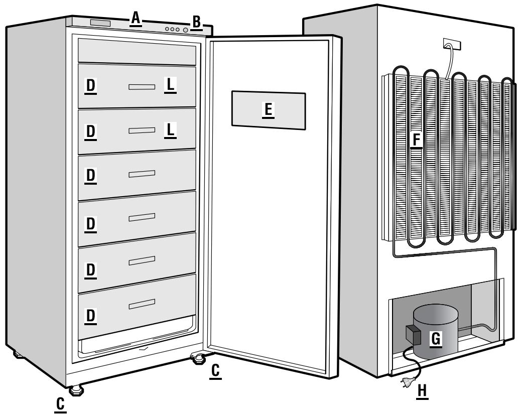 VEDETTE CNF 30B - Description - 1