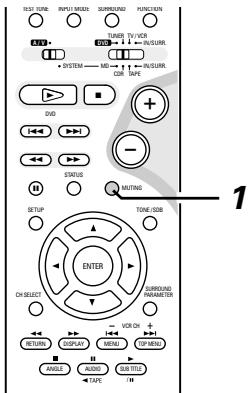 DENON DM51DVSC - BASS, TREBLE (graves, aigüe) - 1