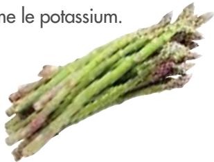 MAGIMIX 18048 DUO PLUS XL - Asperges - 3
