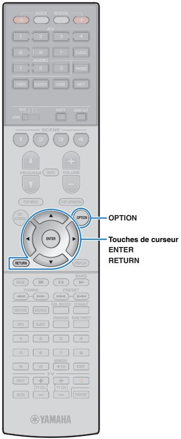 PNI RXA3050 TITANE - Affichage des informations radio data system - 4