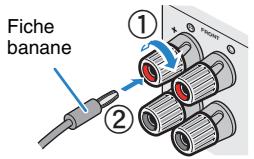PNI RXA3050 TITANE - Utilisation d'une fiche banane - 1