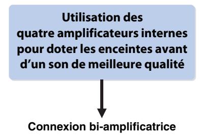 PNI RXA3050 TITANE - Configuration d'enceinte avancée - 1