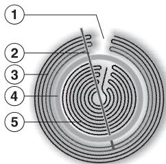 MIELE KM6520 - Zone de cuisson à deux circuits - 1