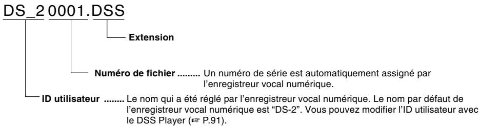 OLYMPUS DS2 - Nom de fichier - 1