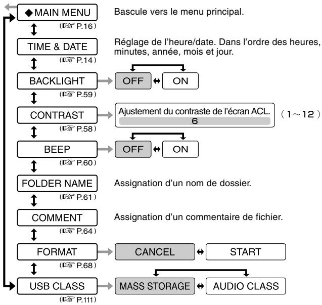 OLYMPUS DS2 - Remarques - 1
