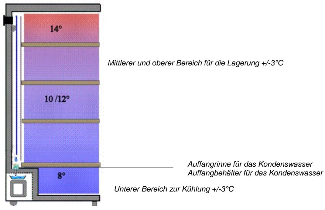 CLI CLPG137 - Multitemperatureschrank: - 2