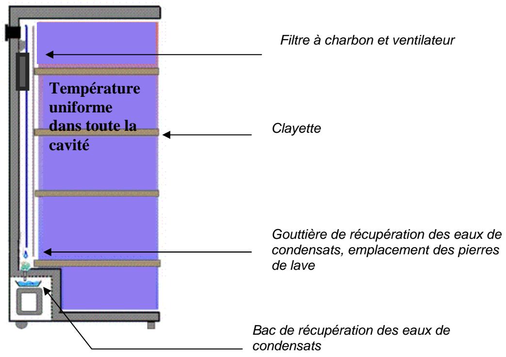 CLI CLPG137 - Description de l'appareil - 3