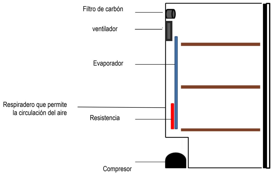 CLI CLPG137 - 1^ DESCRIPCION DEL APARATO - 1