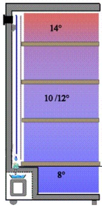 CLI CLPG137 - 2