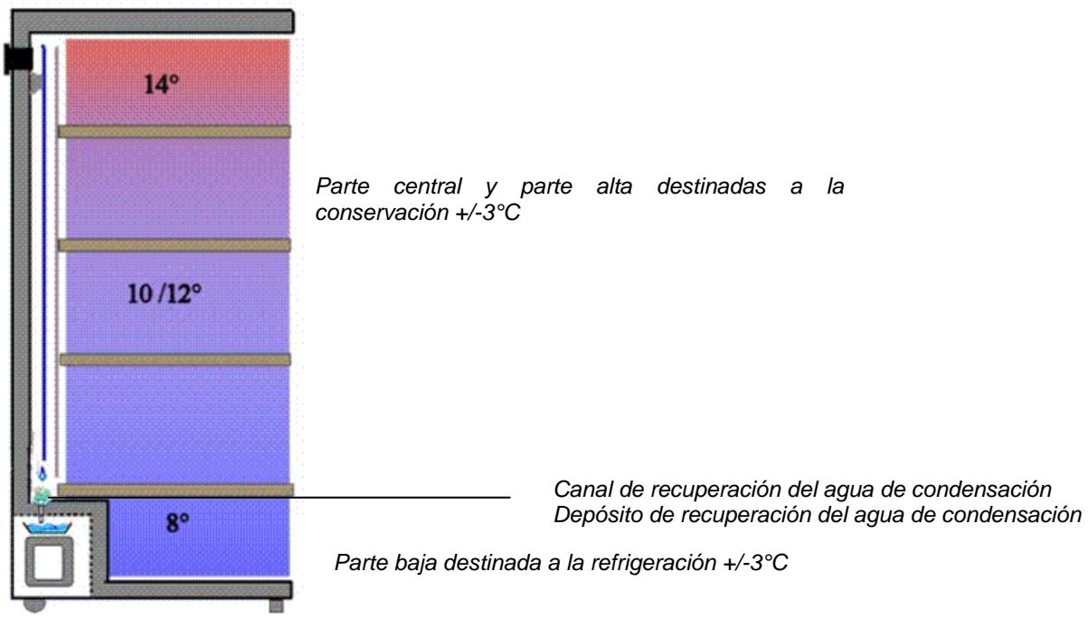 CLI CLPG137 - 1^ DESCRIPCION DEL APARATO - 2