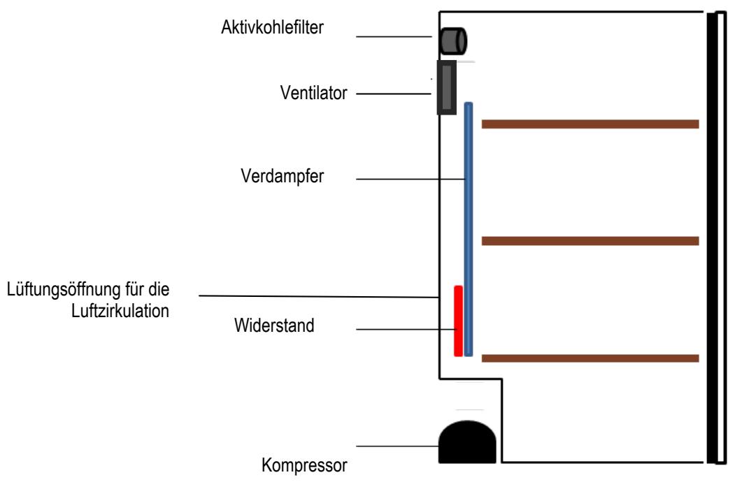 CLI CLPG137 - Multitemperatureschrank: - 1