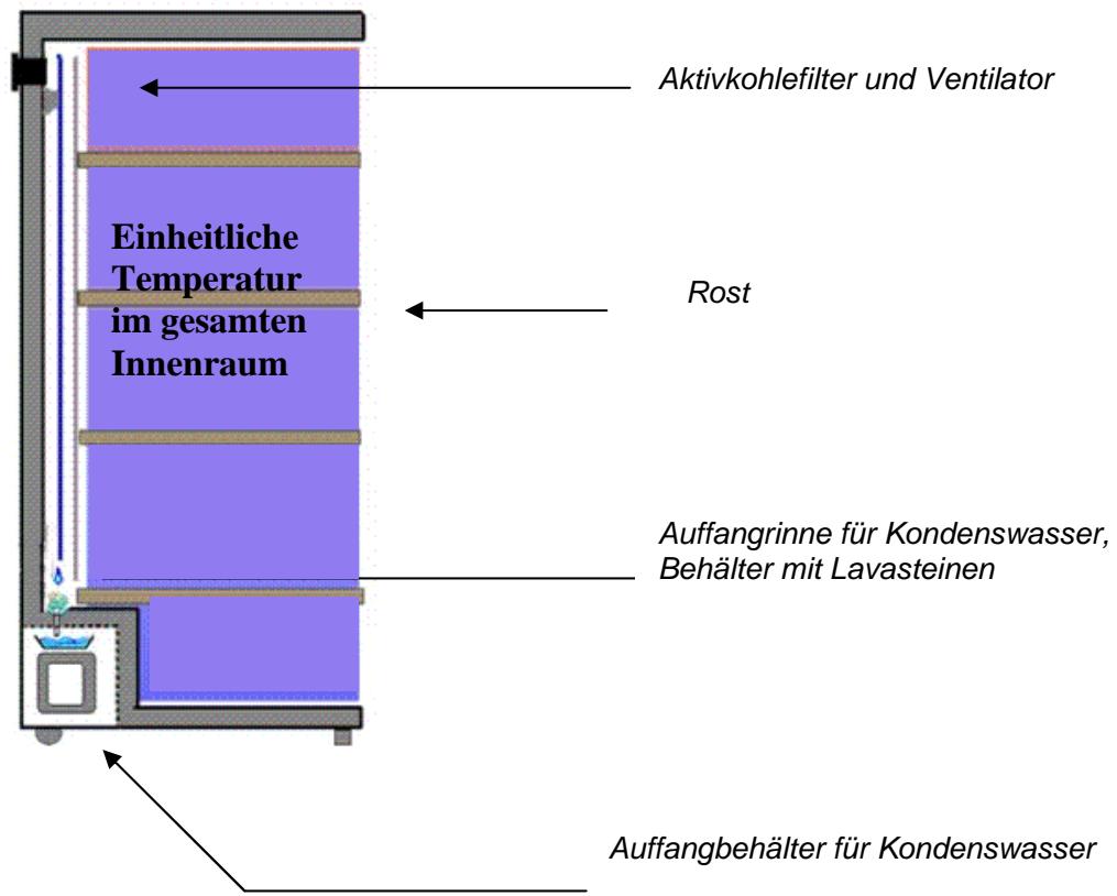 CLI CLPG137 - Eintemperaturschrank: - 1