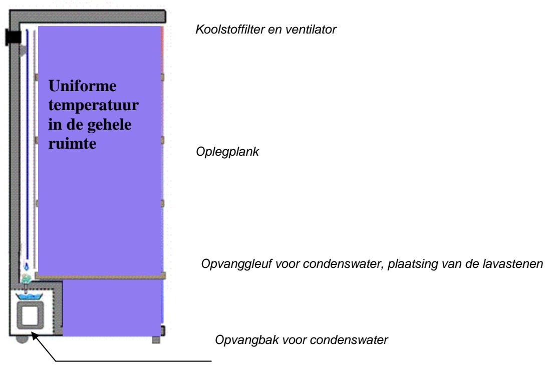 CLI CLPG137 - 3