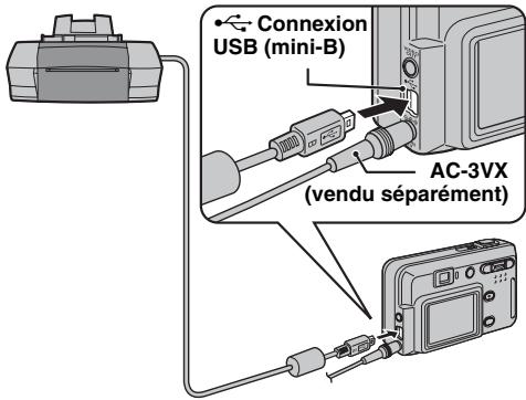 FUJIFILM A510 - Branchement sur une imprimante - 1