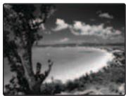 FUJIFILM A510 - AUTO (a) - 6